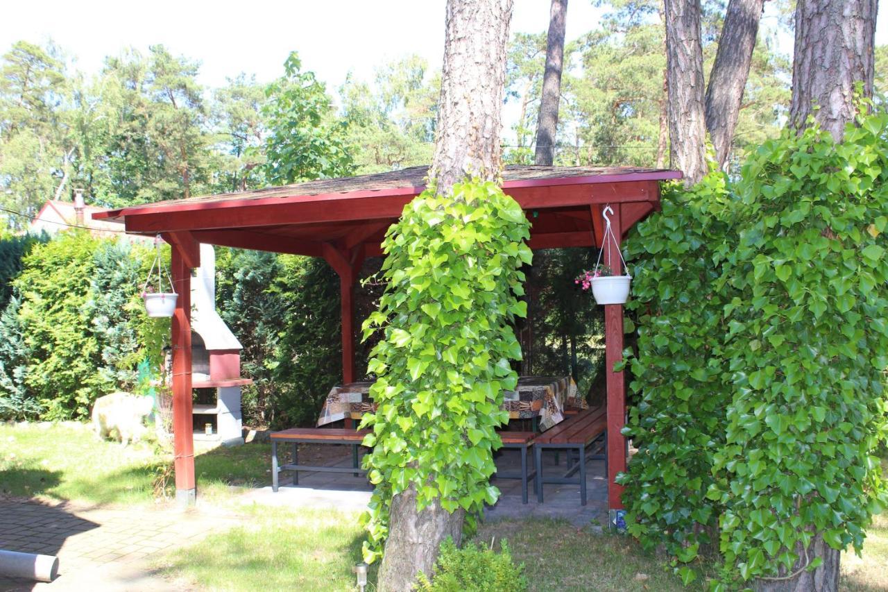Dom Pod Sosnami Bed & Breakfast Миелно Екстериор снимка